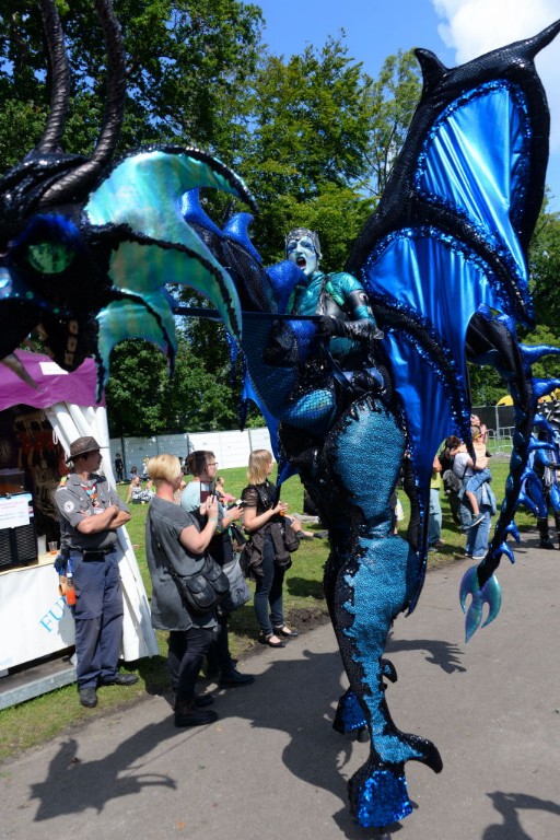 ../Images/Castlefest 2017 zondag 025.jpg